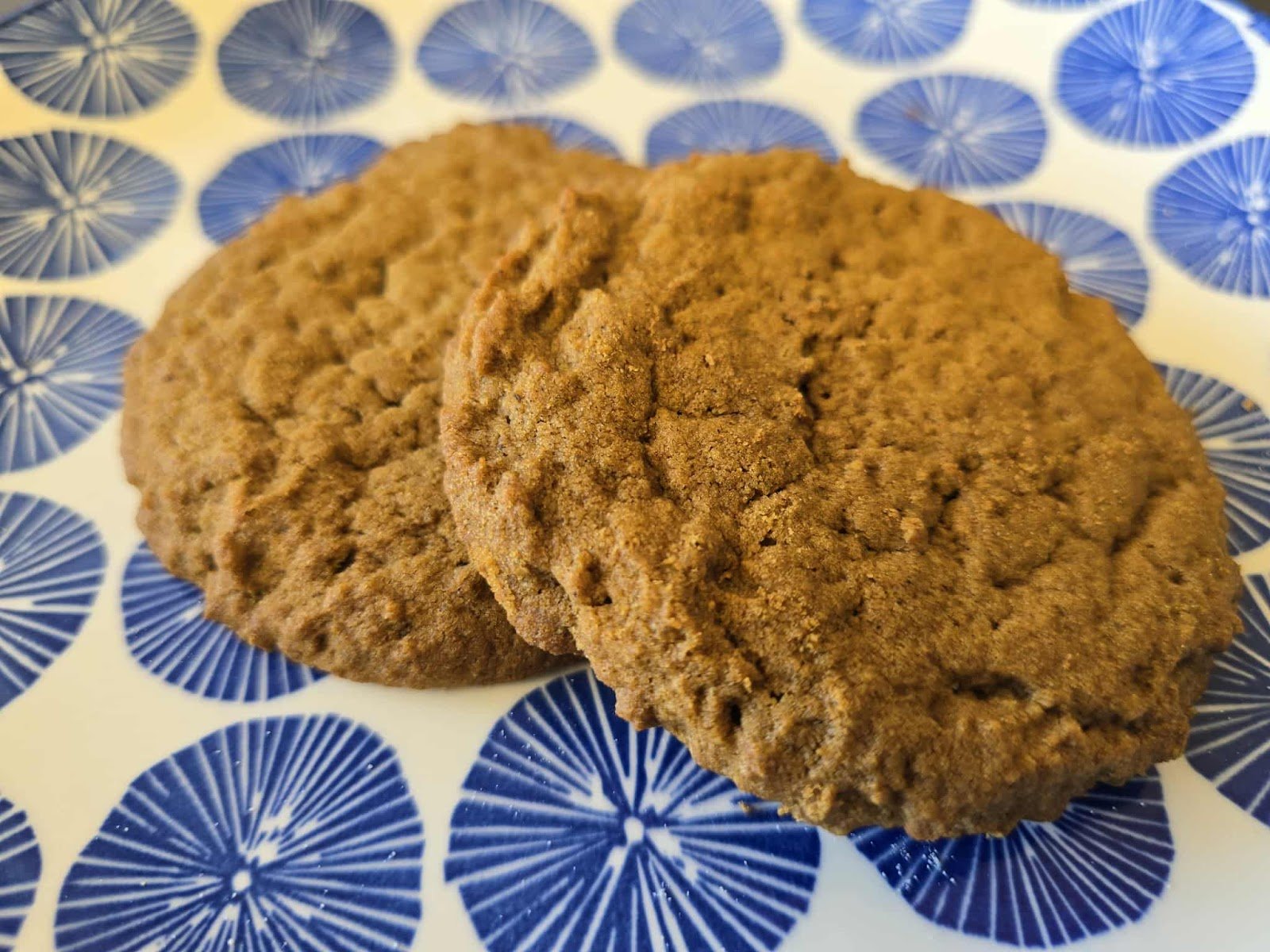 Gluten Free Ginger Cookie